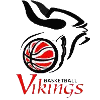 https://img.jewelrabbit.com/img/basketball/team/68b3b1e0496d46b3988571d5c75d1ed8.png