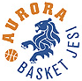 https://img.jewelrabbit.com/img/basketball/team/a77950f390405e3042f9691c09d63251.gif